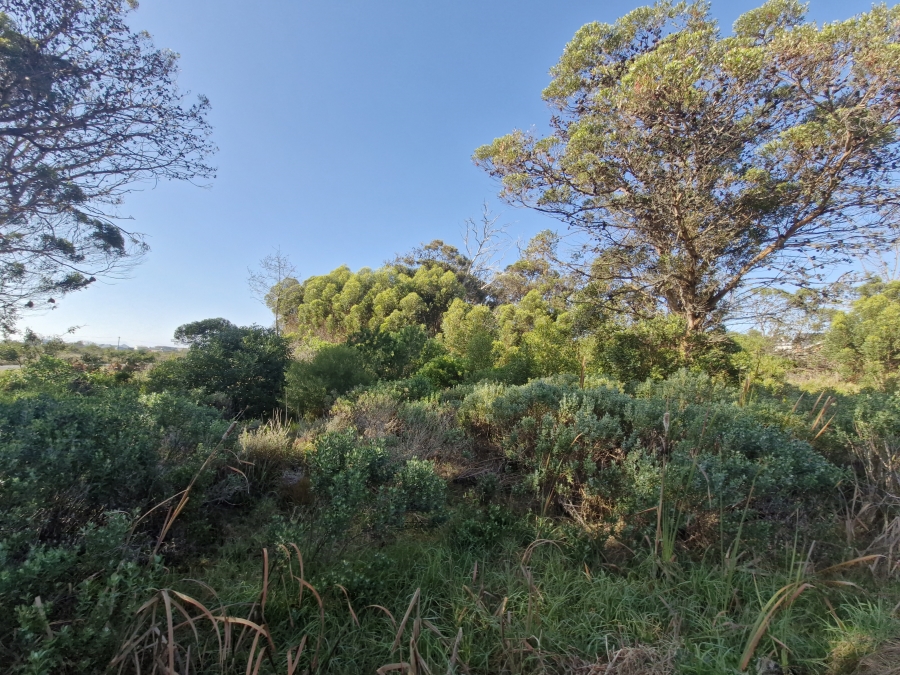 0 Bedroom Property for Sale in Bettys Bay Western Cape